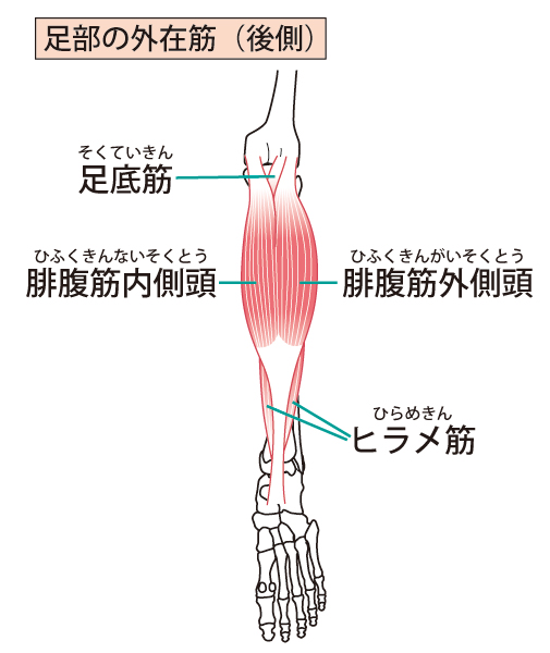 アキレス腱炎
