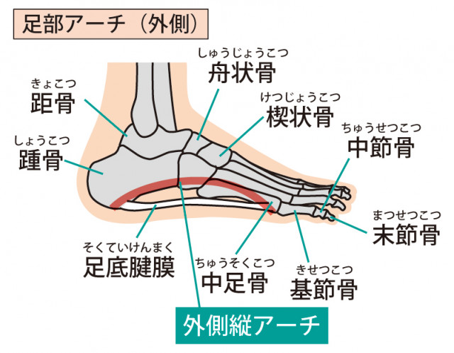 アーチのイラスト